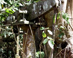 Ruins of old plantation water pump