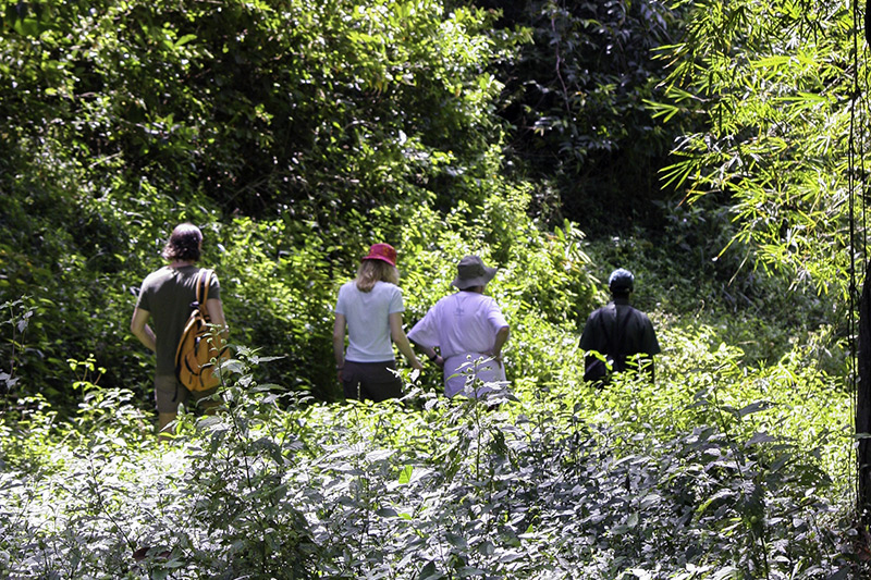 Nature Walk at the Cuffie River Nature Retreat in Tobago